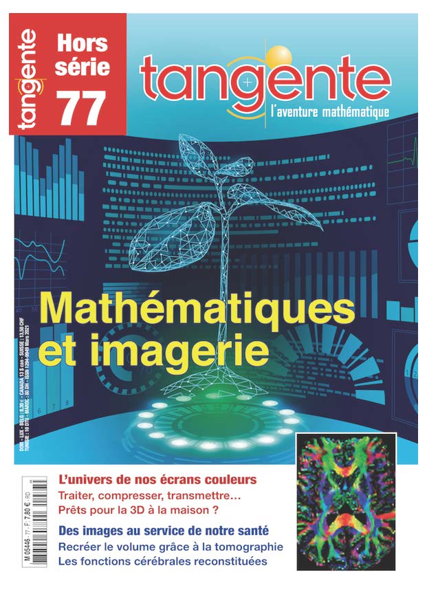 image Thématique 77 -  Mathématiques et imagerie